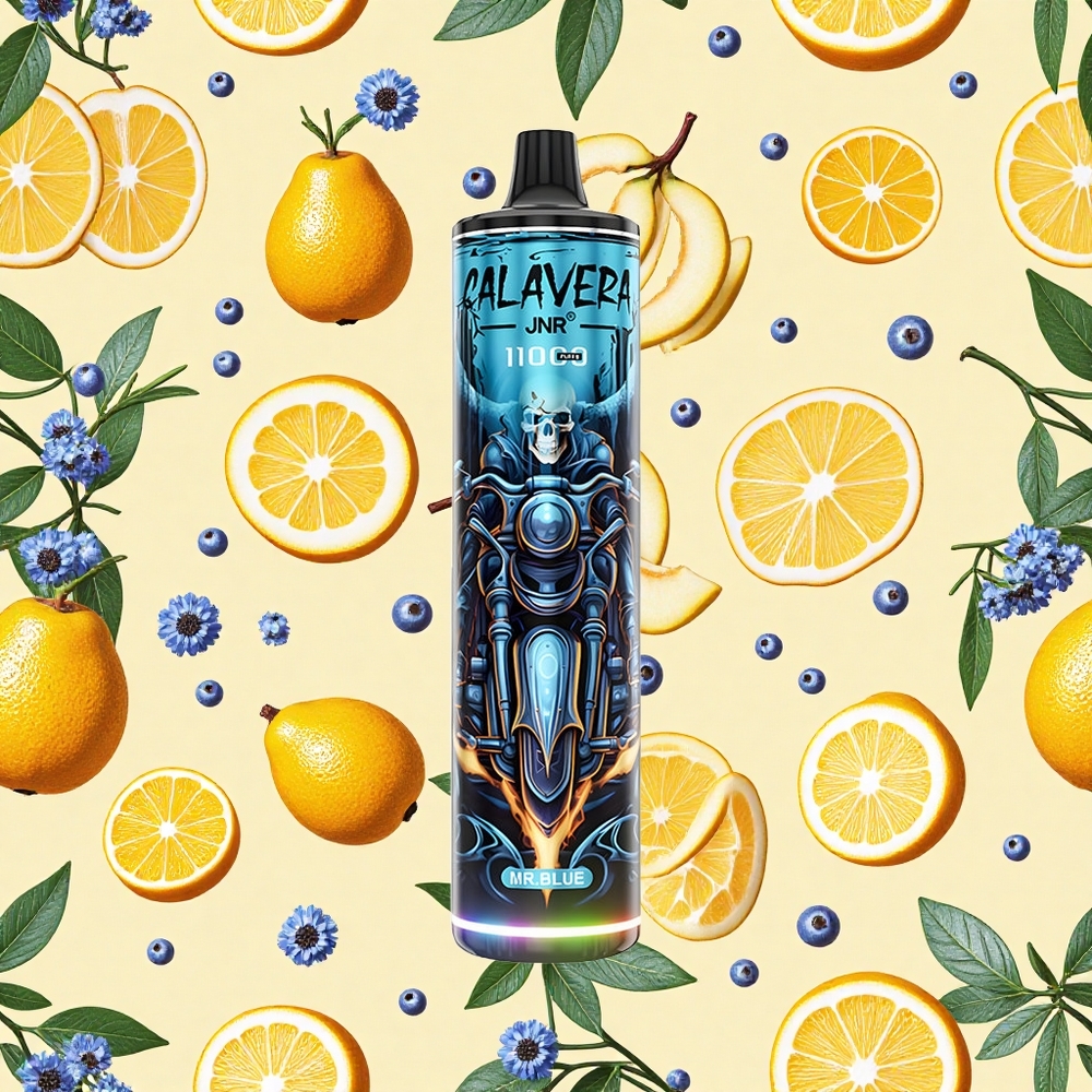 JNR Calavera 11000 Puffs 21ml E-liquid 850mAh Battery Capacity Mr Blue Disposable Vape
