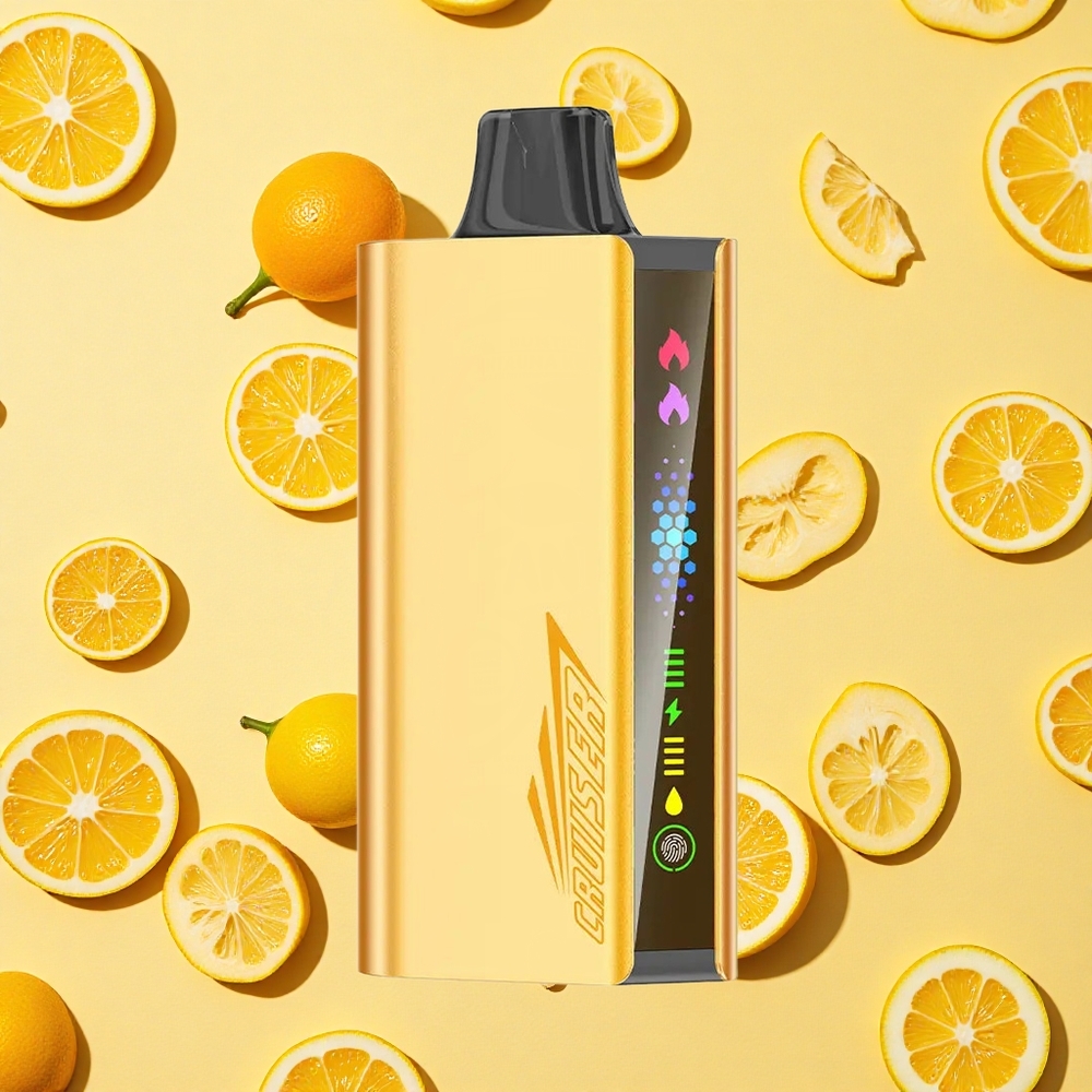 JNR Cruiser 12000 Puffs Cool Fanta 3500mAh Battery Capacity Dual Mesh Coil Metal