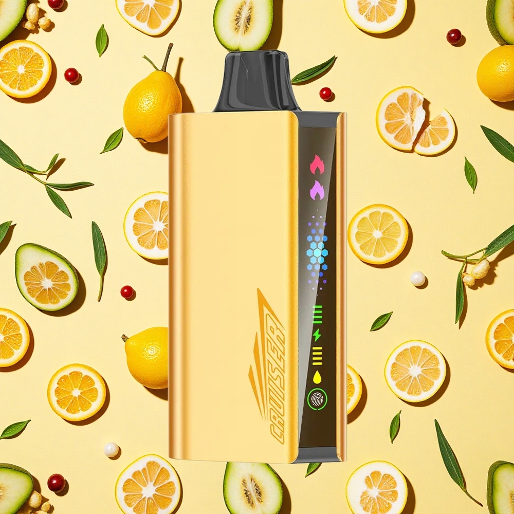 JNR Cruiser 12000 Puffs Cool Mint Built-in 3500mAh Battery Capacity 25ml E-liquid Dual Mesh Coil
