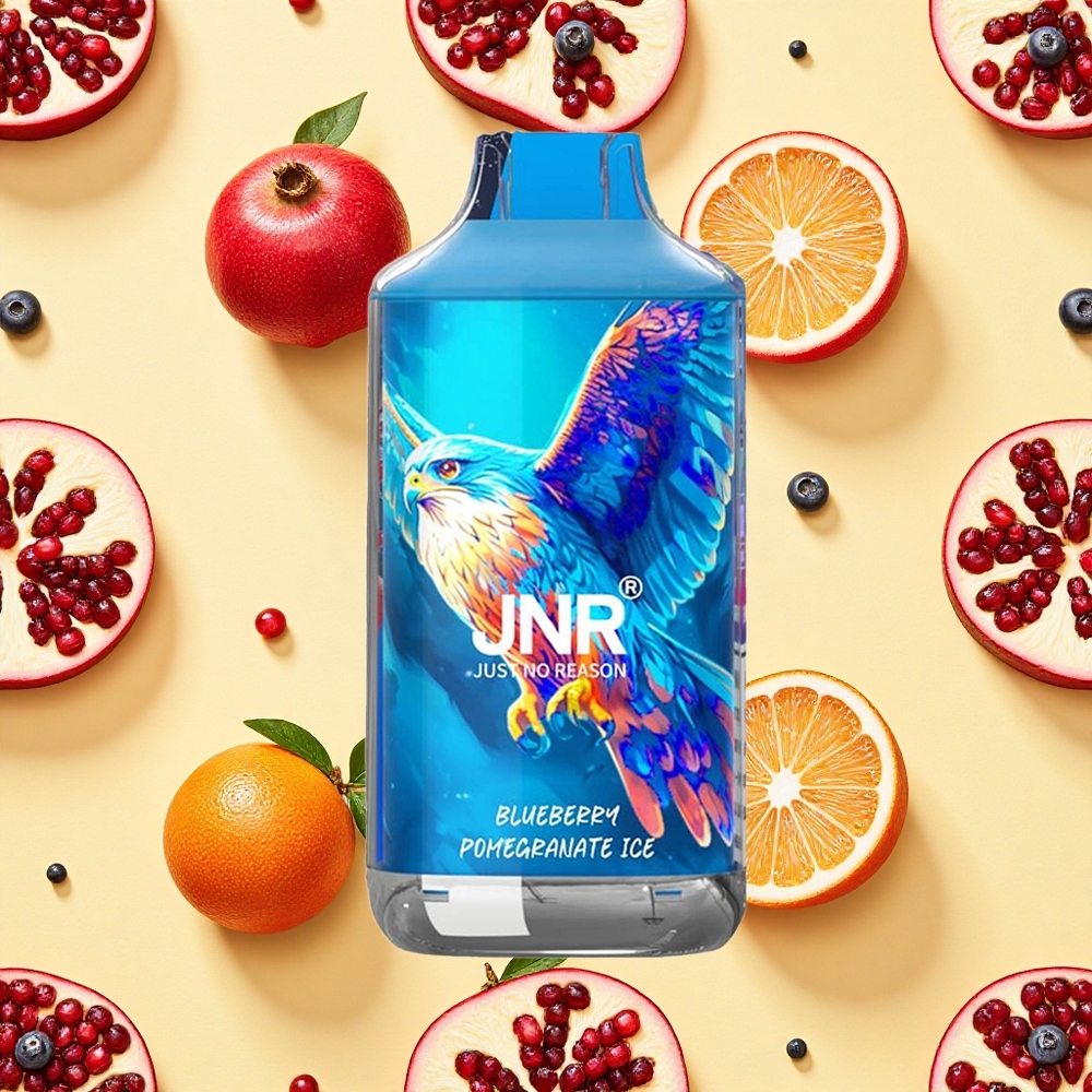 JNR Falcon 16000 Puffs 22ml E-liquid Dual Mesh Coil Blueberry Pomegranate Ice