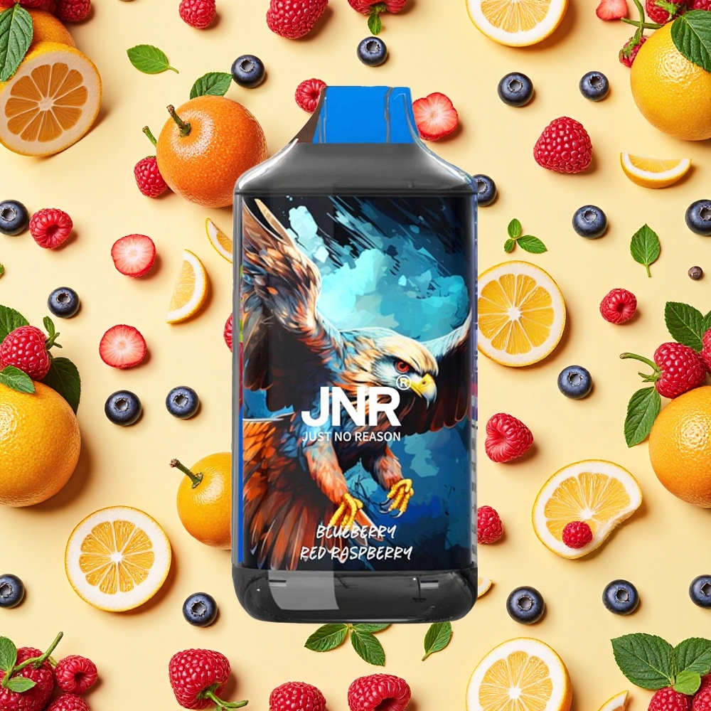 JNR Falcon 16000 Puffs 22ml E-liquid Dual Mesh Coil Blueberry Red Raspberry