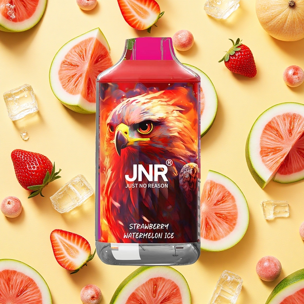 JNR Falcon 16000 Puffs Strawberry Watermelon Ice 22ml E-liquid Dual Mesh Coil LED