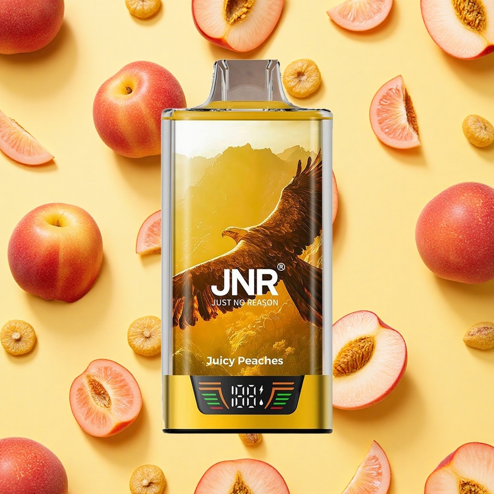 JNR Falcon Pro 28000 Puffs Juicy Peaches 30ml E-liquid 950mAh Battery Capacity USB-C Dual Mesh Coil