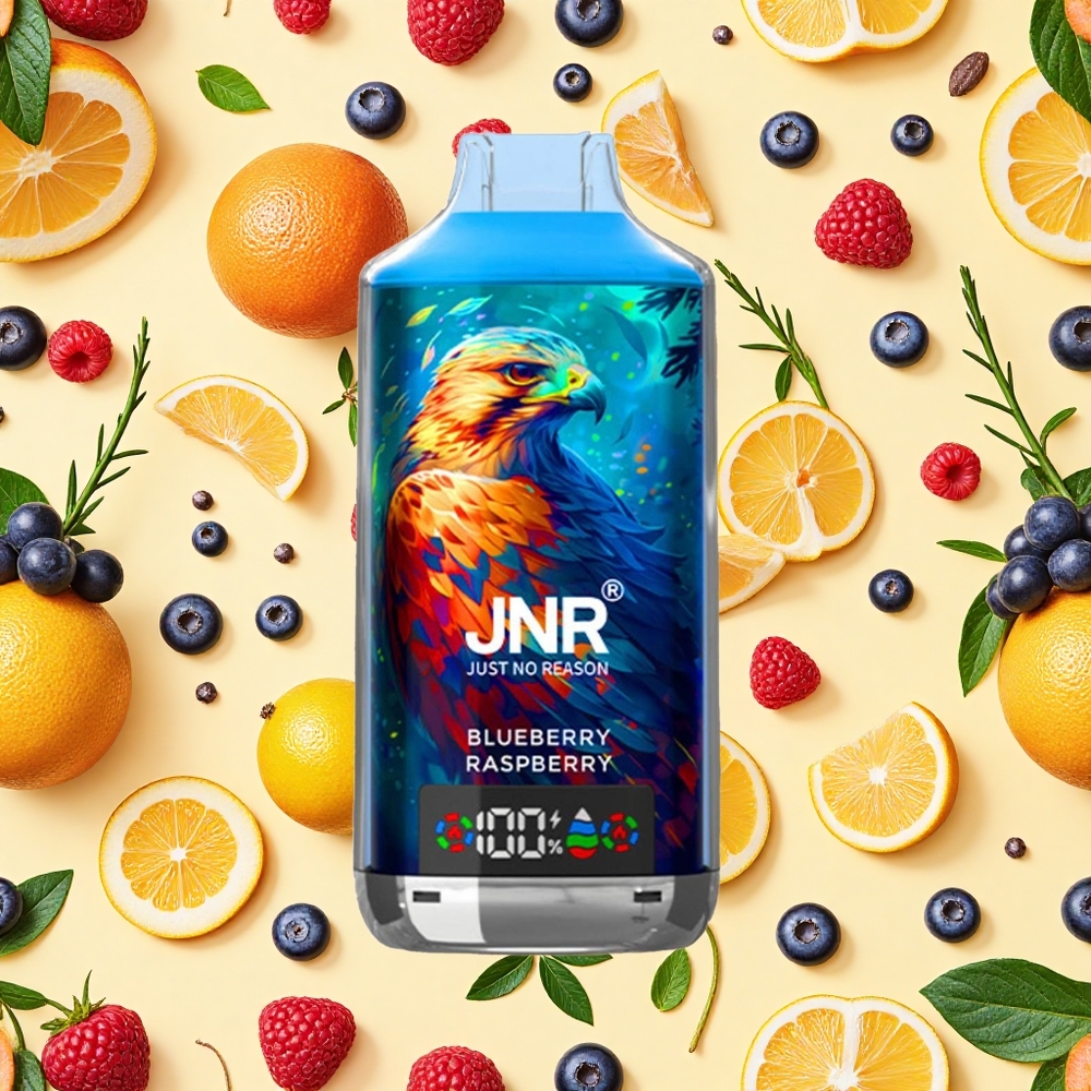 JNR Falcon X 18000 Puffs 24ml E-liquid 750mAh Battery Capacity Dual Mesh Coil Blueberry Raspberry