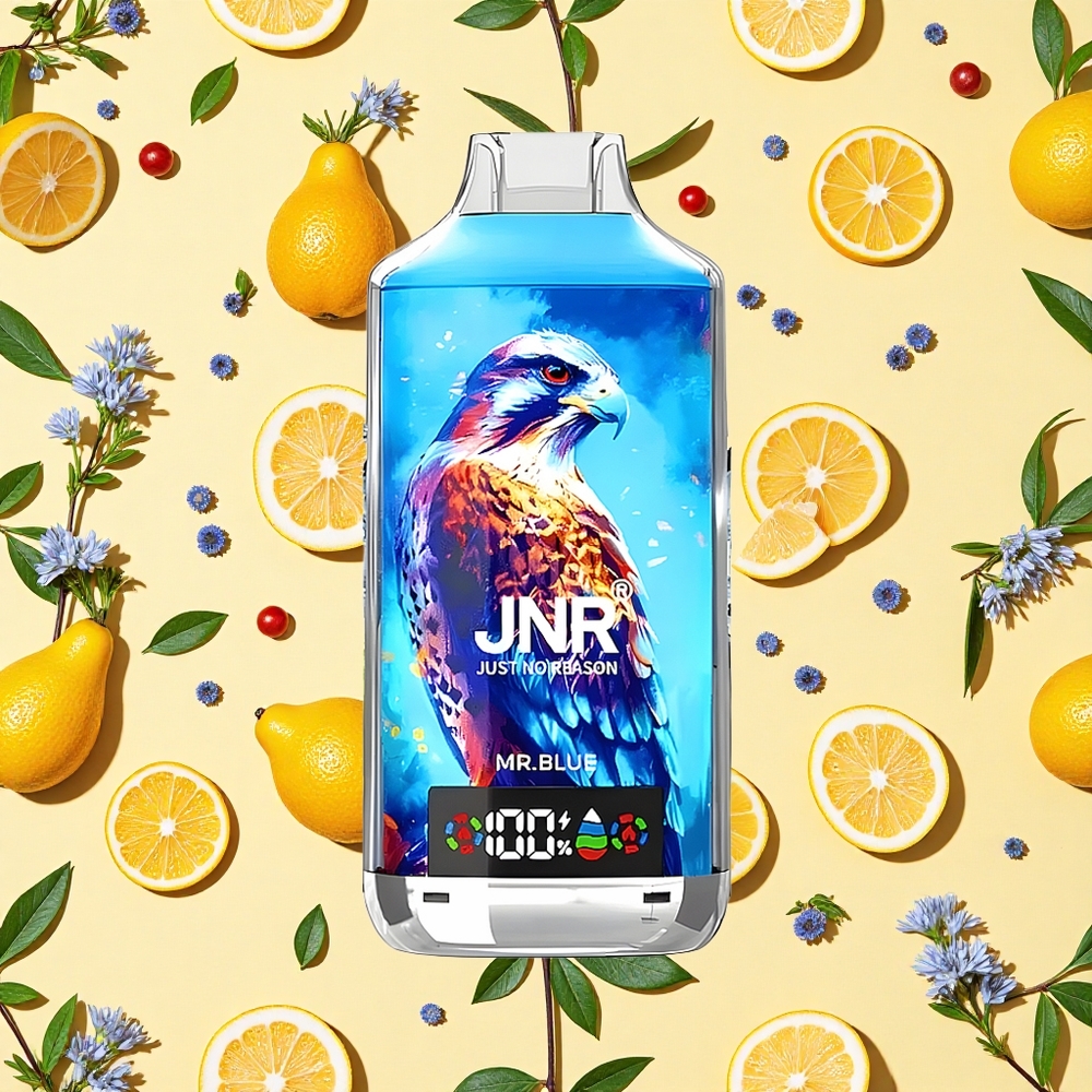 JNR Falcon X 18000 Puffs 24ml E-liquid Dual Mesh Coil Mr Blue