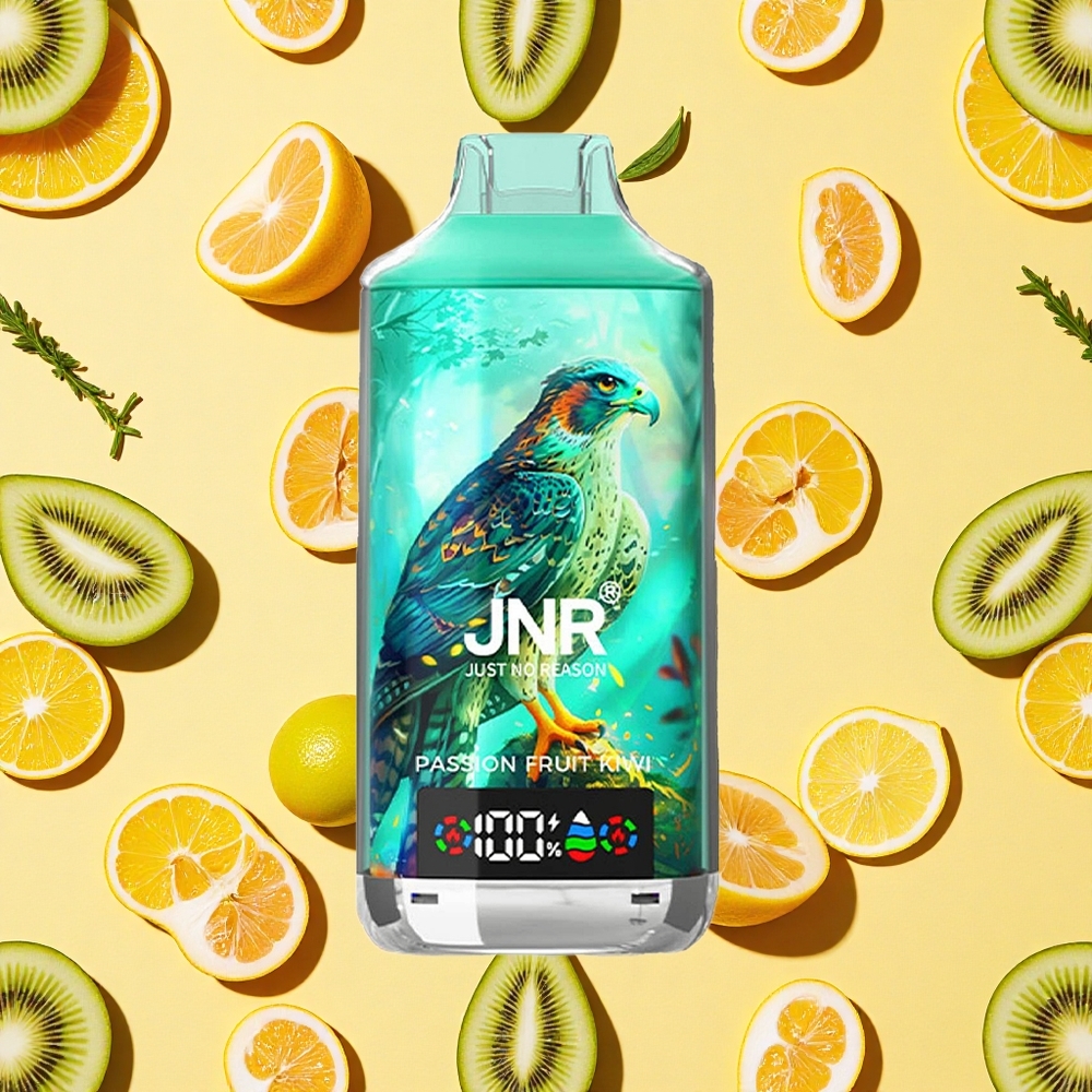 JNR Falcon X 18000 Puffs 24ml E-liquid Passion Fruit Kiwi Dual Mesh Coil Type-C Charging