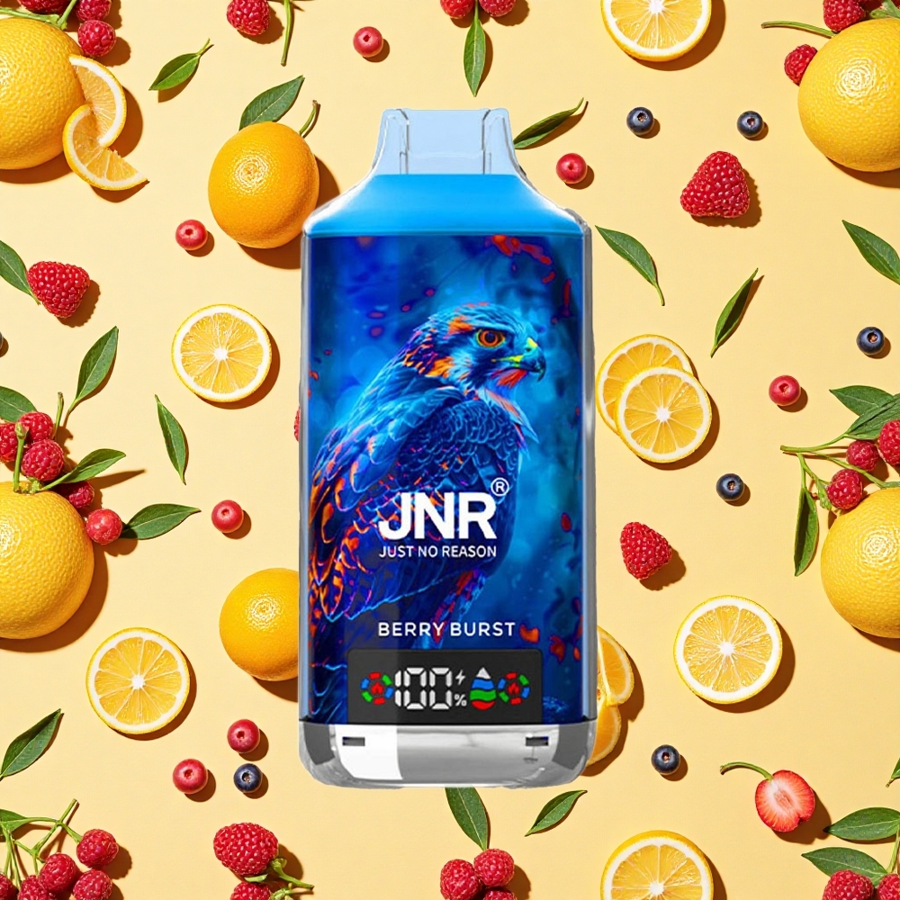 JNR Falcon X 18000 Puffs Berry Burst 24ml E-liquid Dual Mesh Coil Type-C Charging