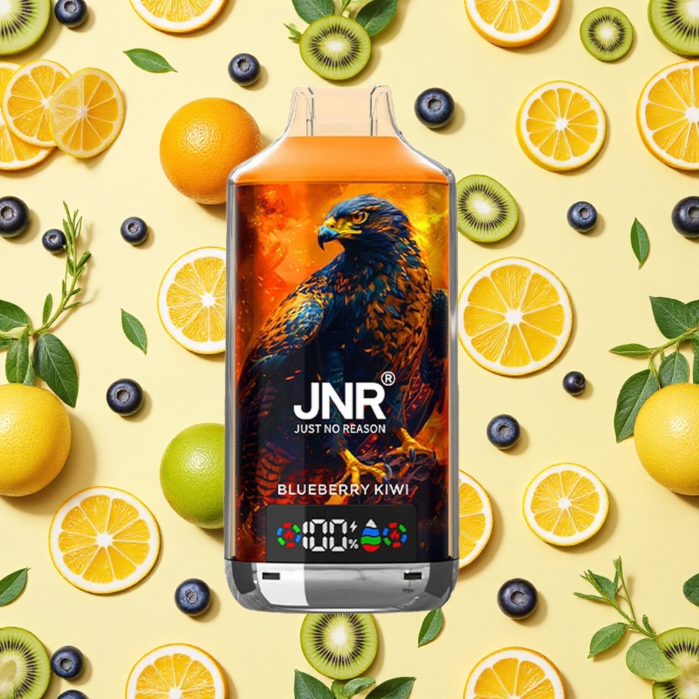 JNR Falcon X 18000 Puffs Blueberry Kiwi 24ml E-liquid Dual Mesh Coil Type-C Charging