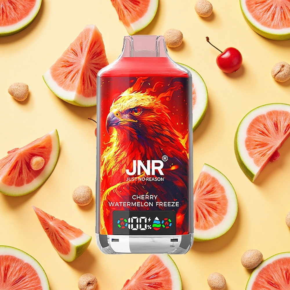JNR Falcon X 18000 Puffs Cherry Watermelon Freeze Dual Mesh Coil 24ml E-liquid Type-C Charging