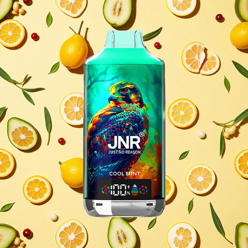 JNR Falcon X 18000 Puffs Cool Mint 24ml E-liquid Dual Mesh Coil Type-C Charging