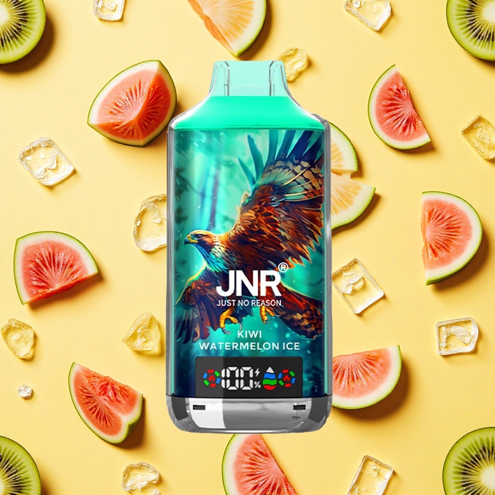 JNR Falcon X 18000 Puffs Kiwi Watermelon Ice 24ml E-liquid 750mAh Battery Capacity Type-C Charging