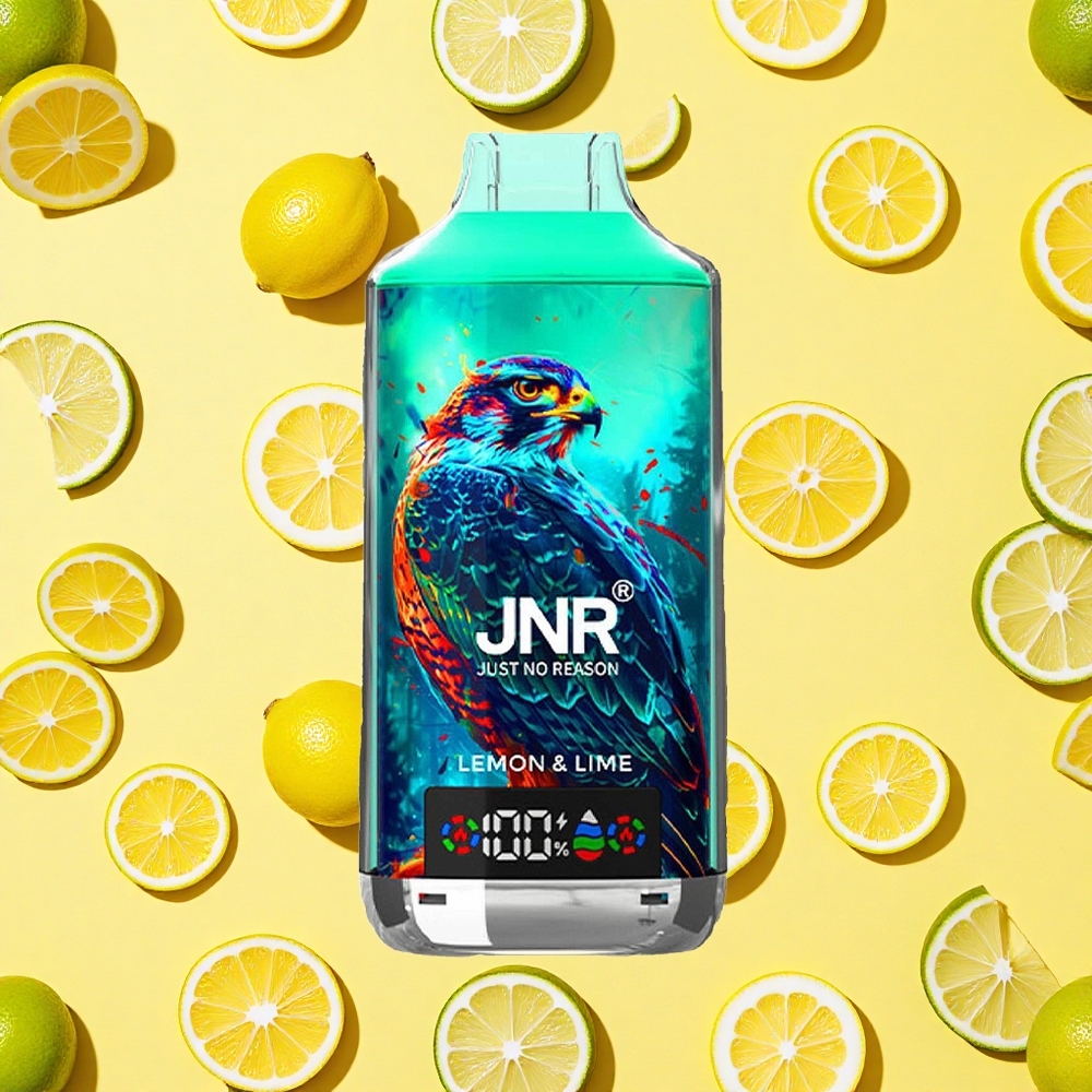 JNR Falcon X 18000 Puffs Lemon Lime Dual Mesh Coil 24ml E-liquid Type-C Charging