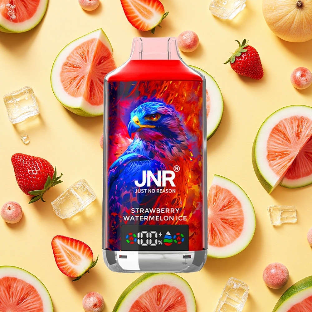 JNR Falcon X 18000 Puffs Strawberry Watermelon Ice Dual Mesh Coil 24ml E-liquid Type-C Charging