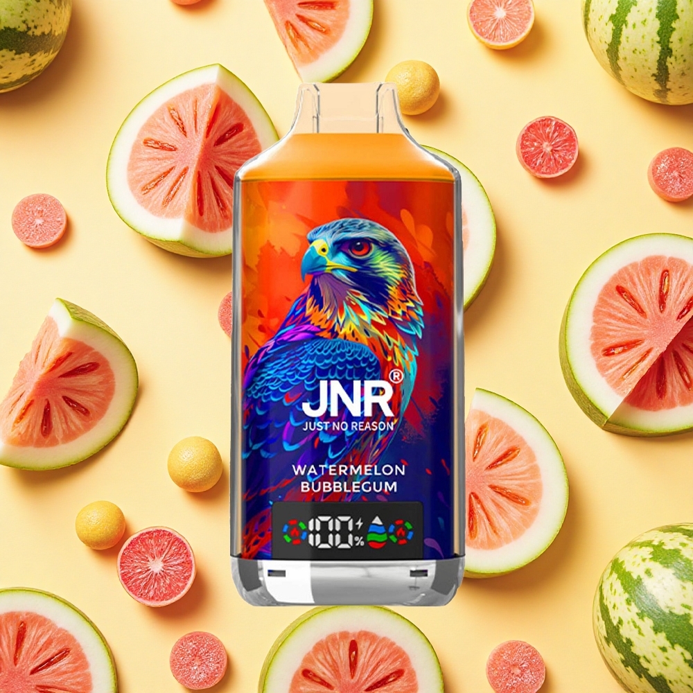 JNR Falcon X 18000 Puffs Watermelon Bubblegum Dual Mesh Coil 24ml E-liquid Type-C Charging