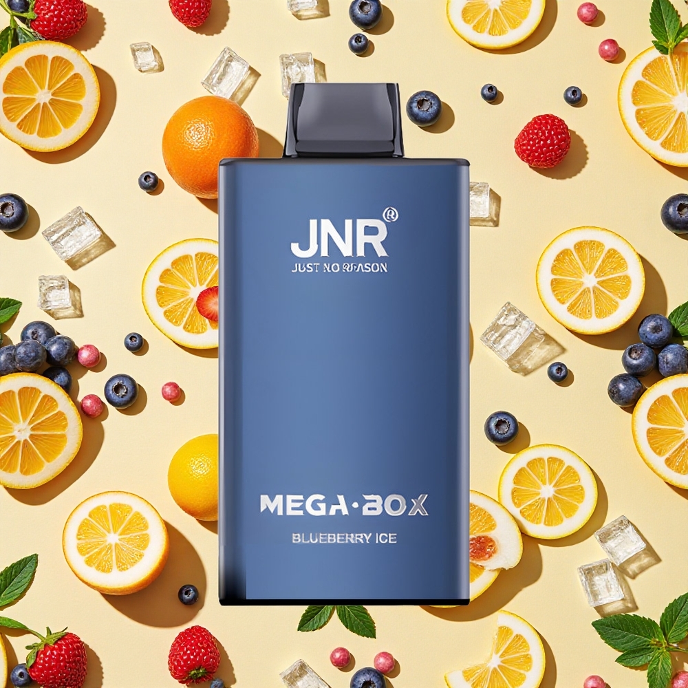 JNR Mega Box 25000 Puffs 30ml E-liquid 850mAh Battery Capacity Dual Mesh Coil Blueberry Ice