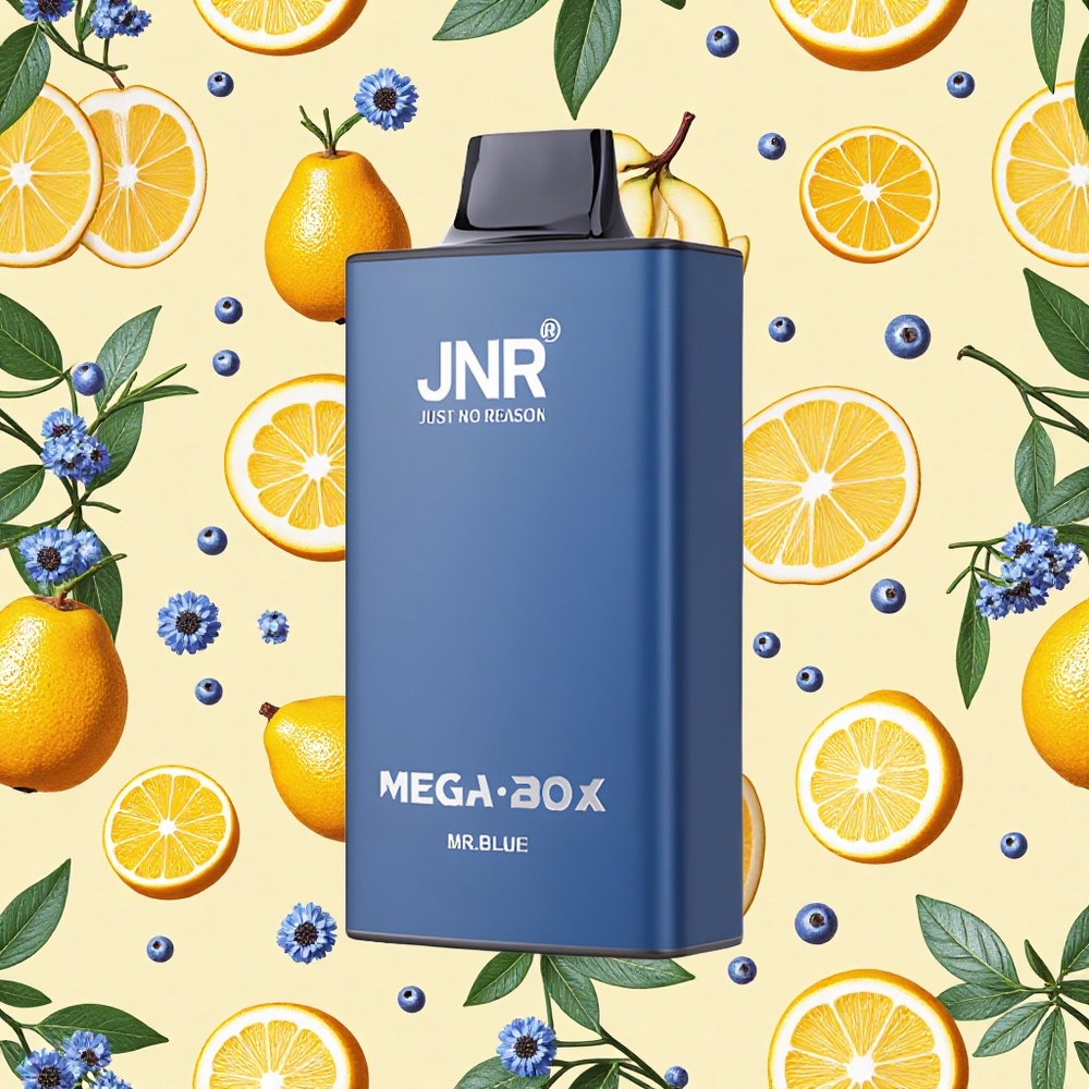 JNR Mega Box 25000 Puffs 30ml E-liquid 850mAh Battery Capacity Dual Mesh Coil Mr Blue