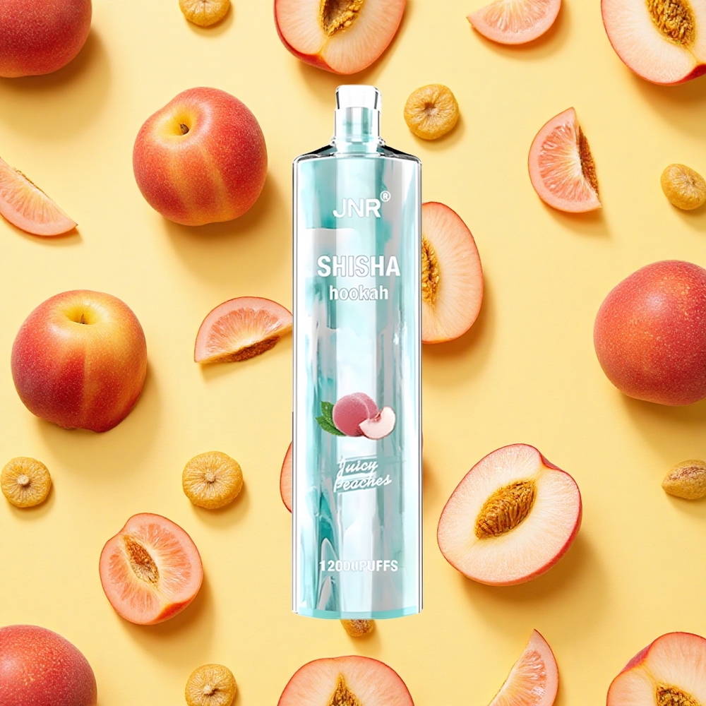 JNR Shisha Hookah 12000 Puffs Juicy Peaches 24ml E-liquid 750mAh Battery Capacity Type-C Charging