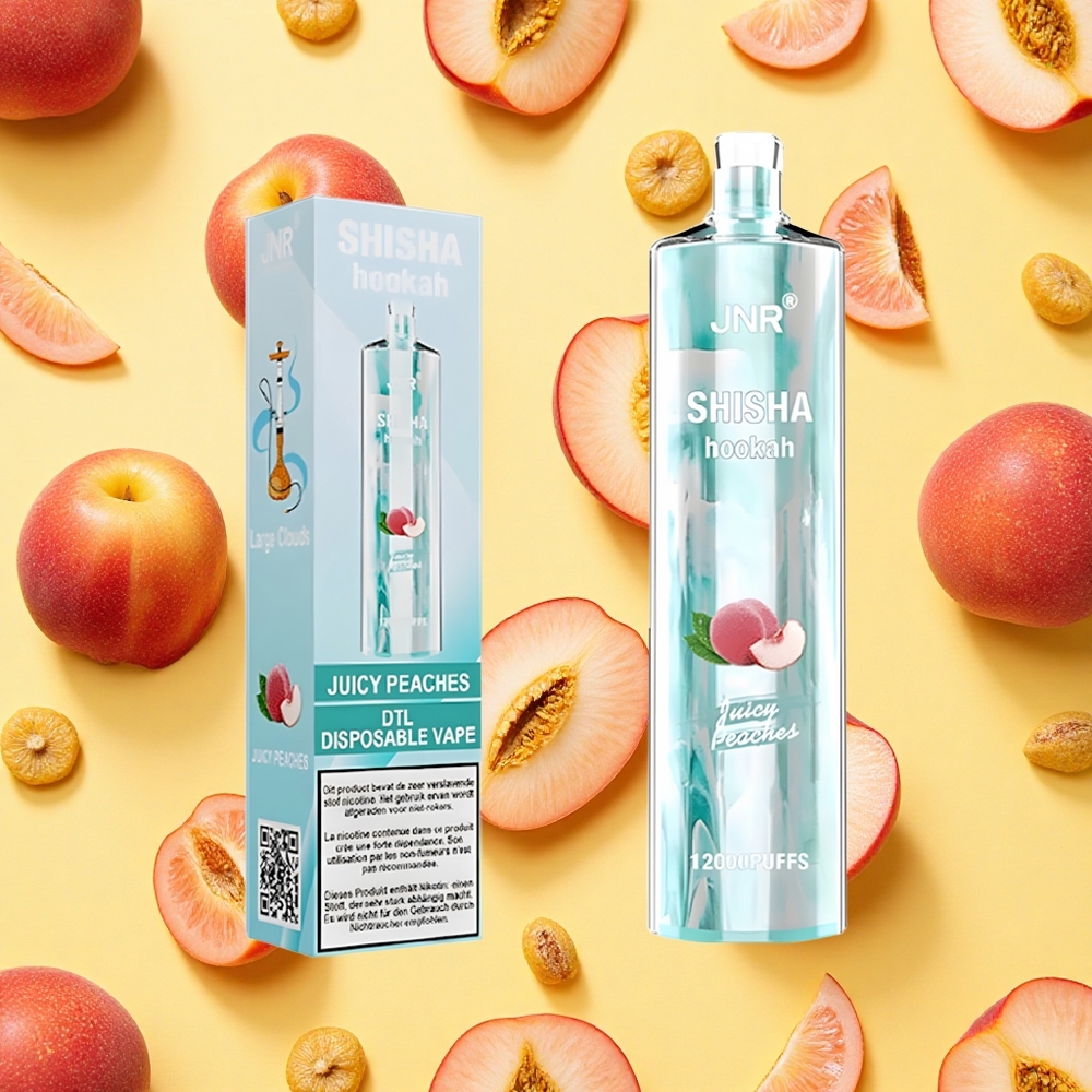 JNR Shisha Hookah 12000 Puffs Juicy Peaches 24ml E-liquid 750mAh Battery Capacity Type-C Charging