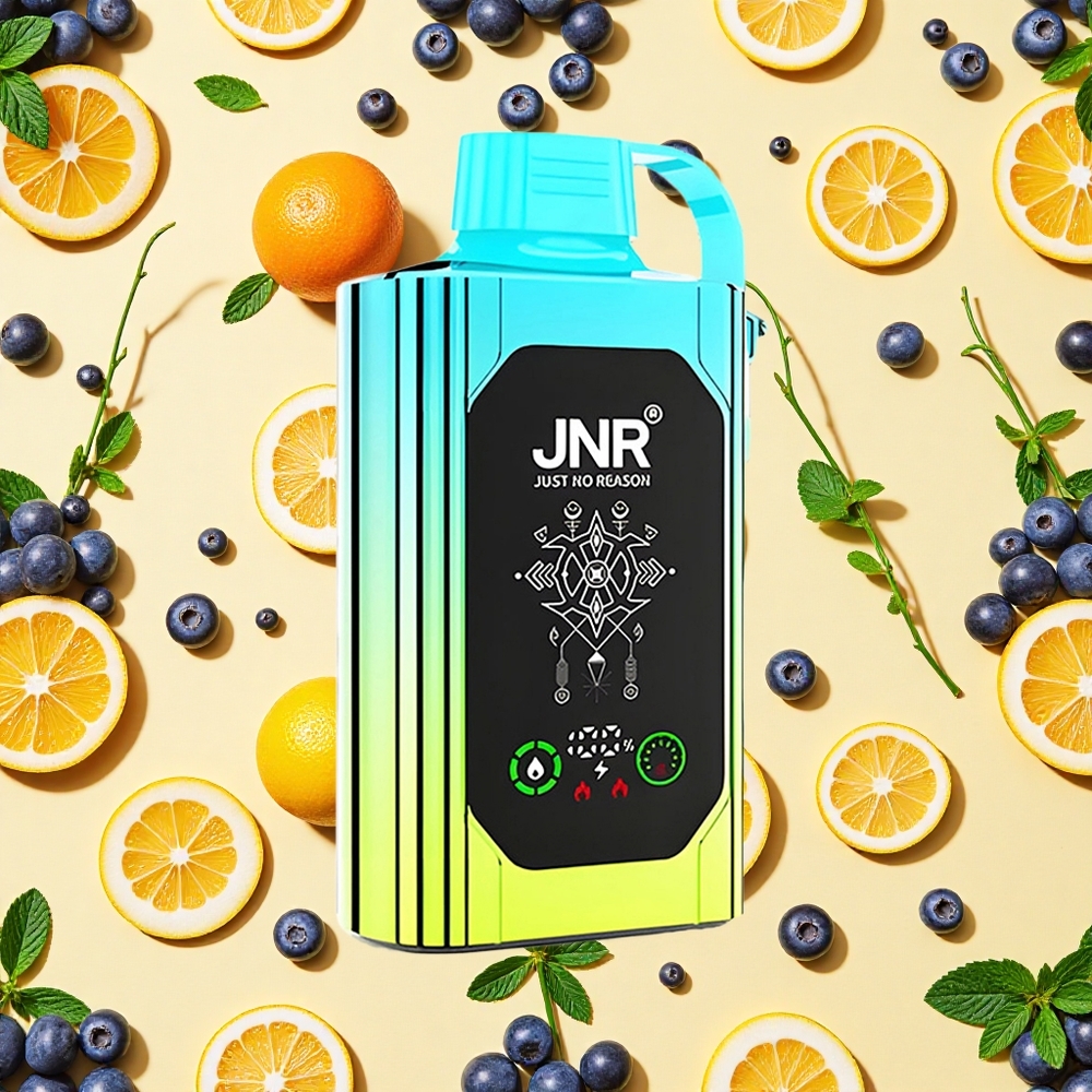 Shisha Hookah Box 20500 Puffs Blueberry Mint 25ml E-liquid 5 Type-C Charging Dual Mesh Coil