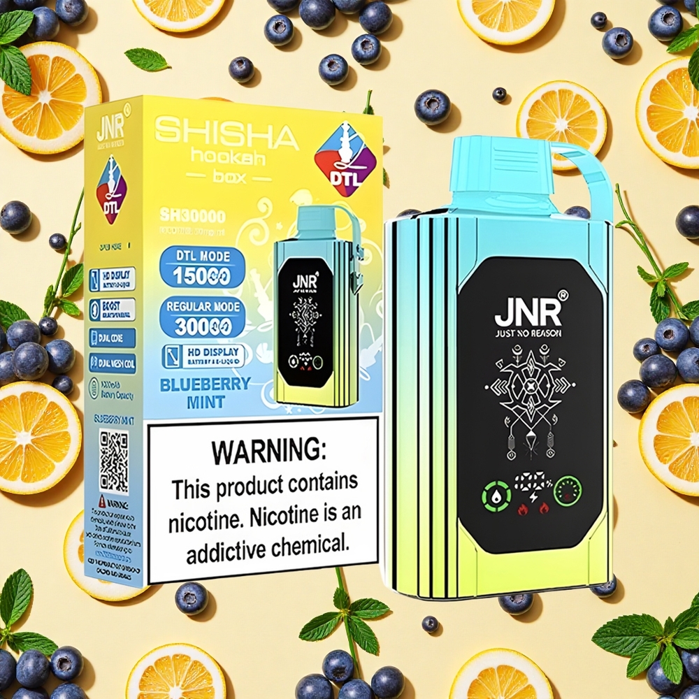 Shisha Hookah Box 20500 Puffs Blueberry Mint 25ml E-liquid 5 Type-C Charging Dual Mesh Coil