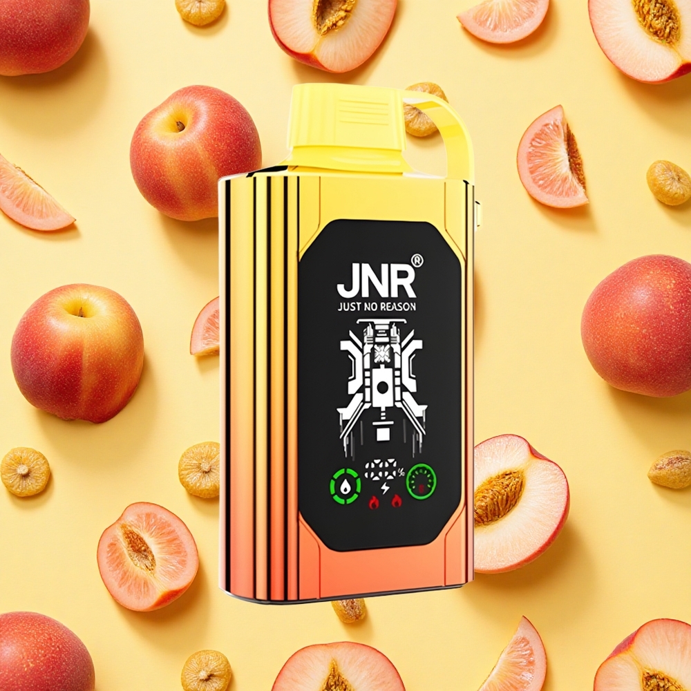 Shisha Hookah Box 20500 Puffs Juicy Peaches HD Display Dual Mesh Coil 1000mAh Battery Capacity