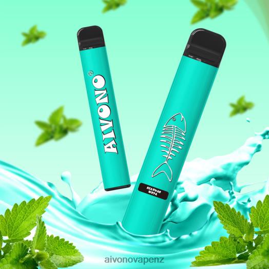 Cool Mint Aivono AIM FISHBONE 600 V2D4278 | Aivono Shop