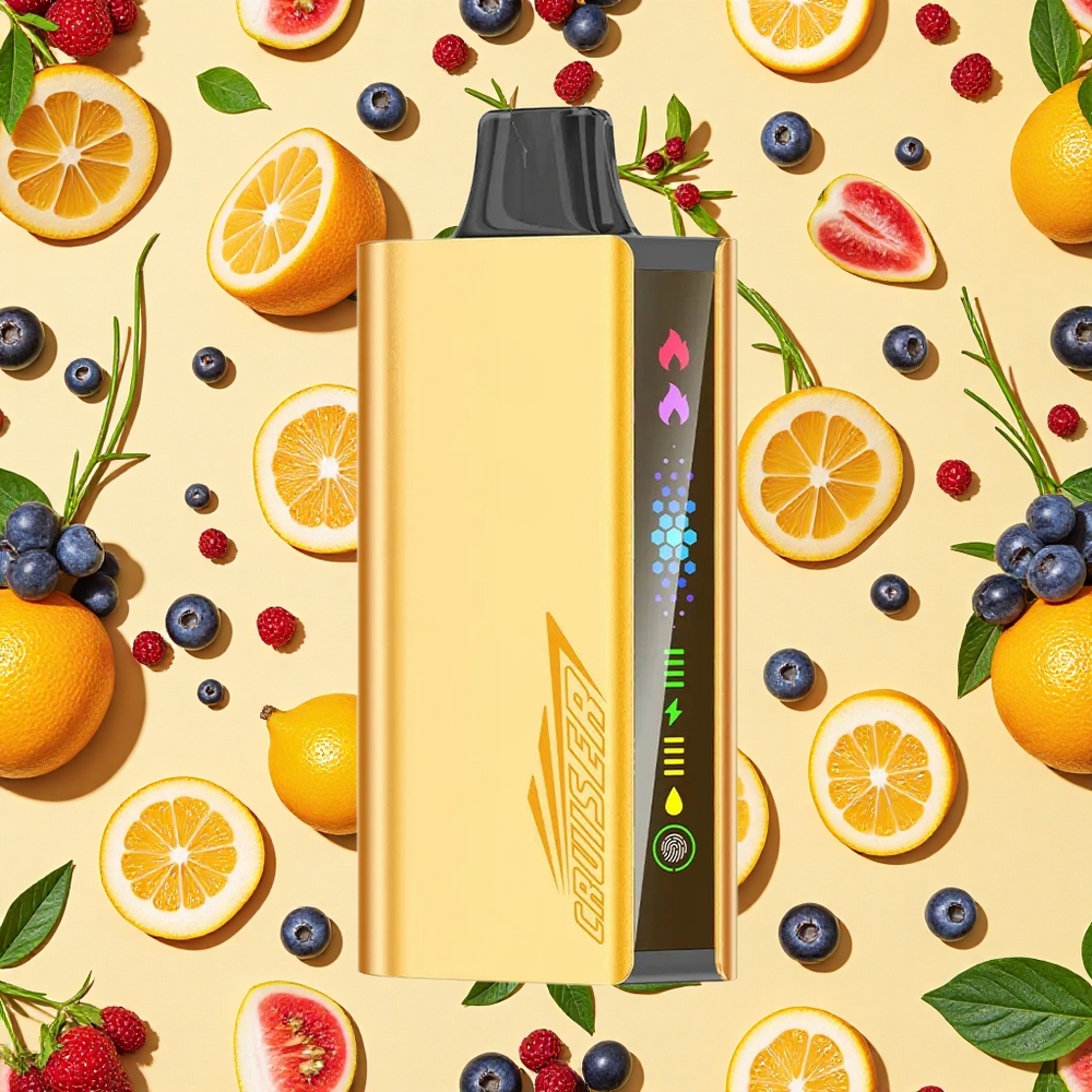 JNR Cruiser 12000 Puffs Blueberry Blast 3500mAh Battery Capacity Dual Mesh Coil
