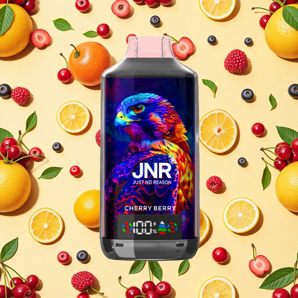 JNR Falcon X 18000 Puffs Cherry Berry 24ml E-liquid 750mAh Battery Capacity Dual Mesh Coil
