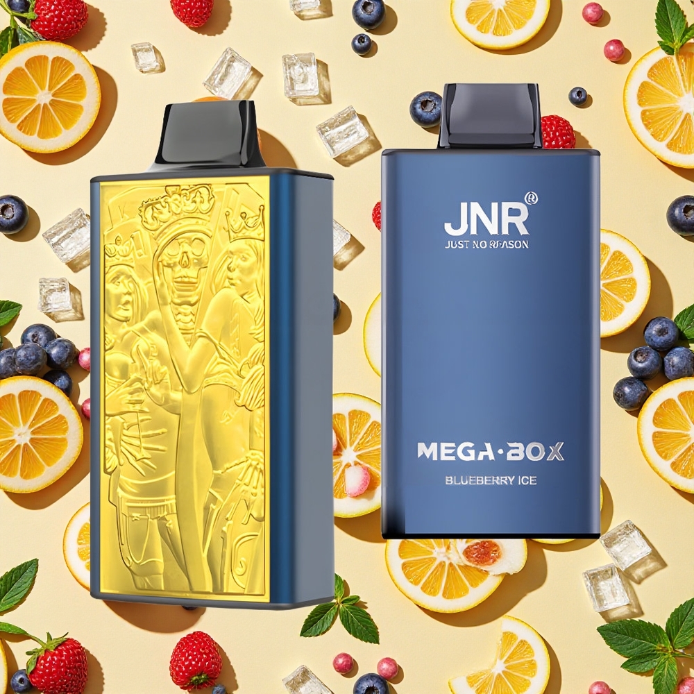 JNR Mega Box 25000 Puffs 30ml E-liquid 850mAh Battery Capacity Dual Mesh Coil Blueberry Ice