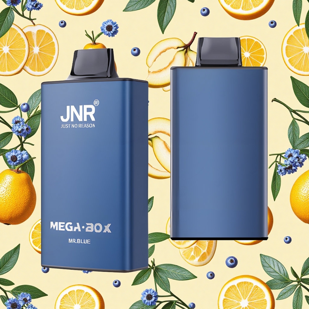 JNR Mega Box 25000 Puffs 30ml E-liquid 850mAh Battery Capacity Dual Mesh Coil Mr Blue