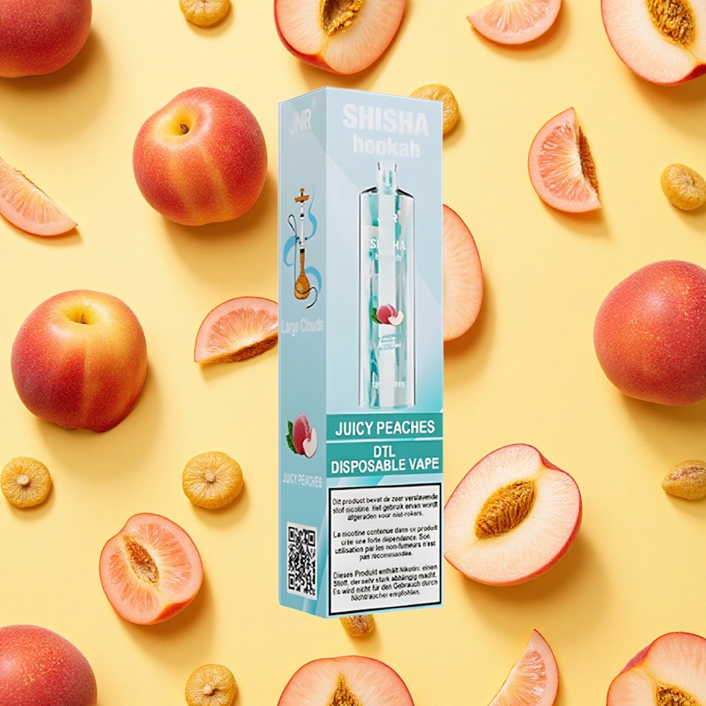 JNR Shisha Hookah 12000 Puffs Juicy Peaches 24ml E-liquid 750mAh Battery Capacity Type-C Charging